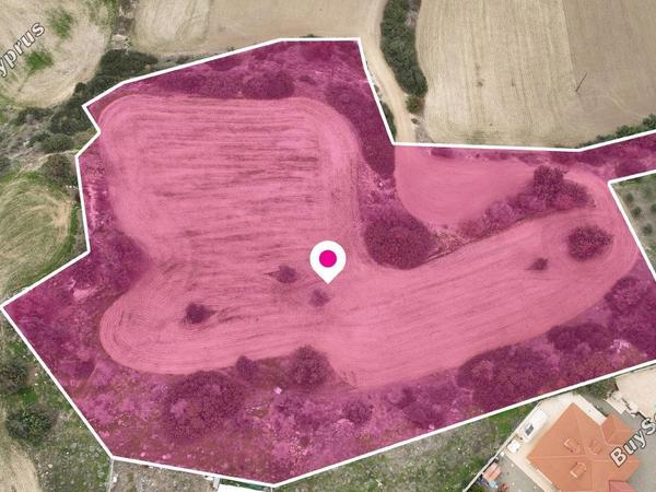 land for sale mazotos larnaca 1249279 image 7040432