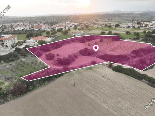 land for sale mazotos larnaca 1249279 image 7040464