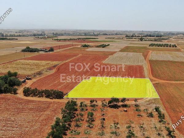 land for sale palaiometocho nicosia 1443279 image 7287370