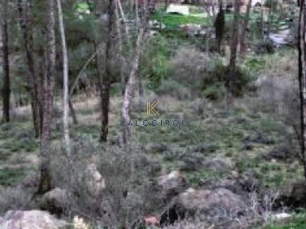 plot for sale psevdas larnaca 1390279 image 5642264