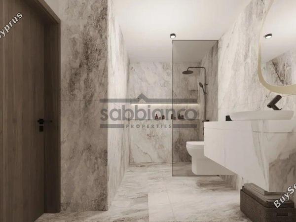 2 bedroom apartment for sale alethriko larnaca 8748379 image 16462817