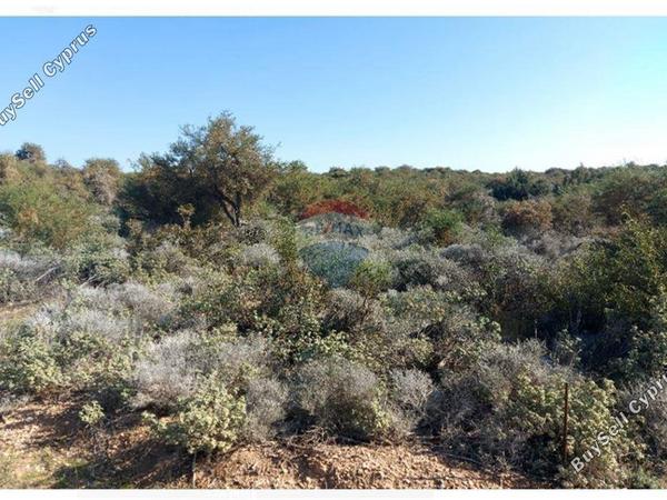 land for sale paramali limassol 1503379 image 15357005