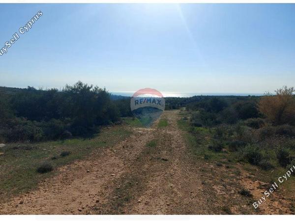 land for sale paramali limassol 1503379 image 15357006
