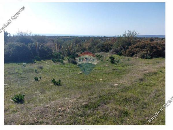 land for sale paramali limassol 1503379 image 15357007