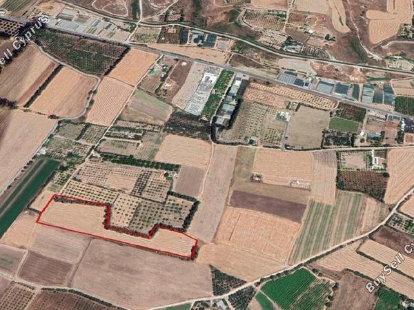land for sale timi paphos 1804379 image 6129778