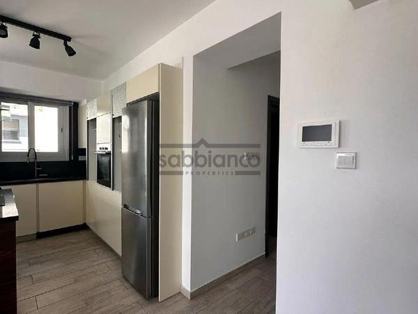 2 bedroom apartment for rent dasoupoli nicosia 8739479 image 16371381