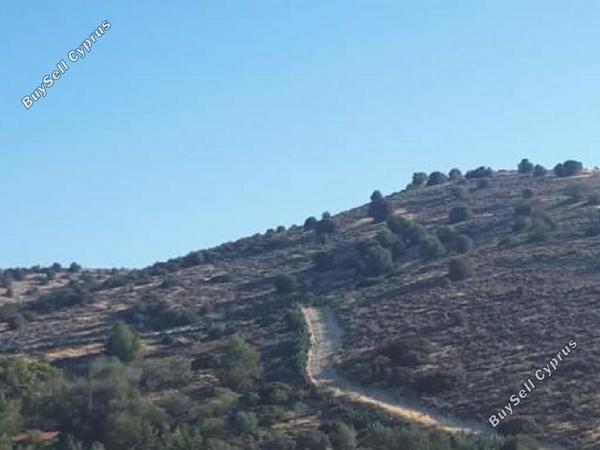 land for sale alethriko larnaca 8630479 image 17011605