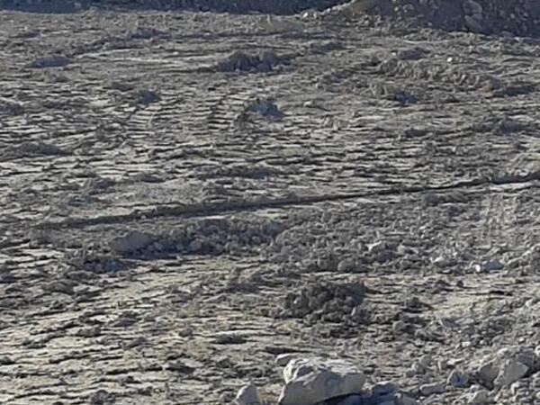 land for sale pyrgos limassol limassol 1249479 image 1983828