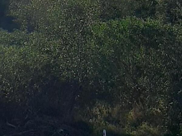 land for sale pyrgos limassol limassol 1249479 image 1983829