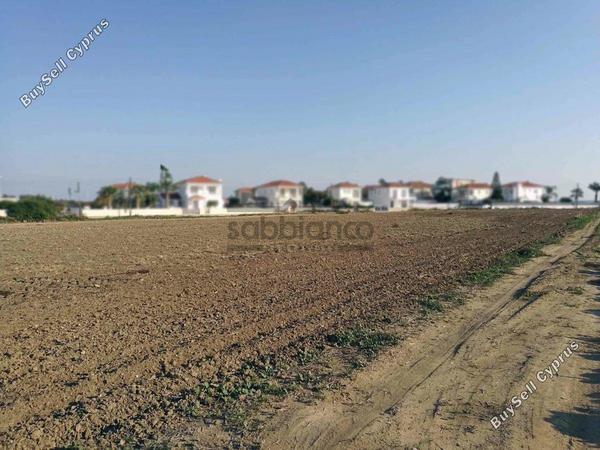 land for sale softades larnaca 8744479 image 16421174