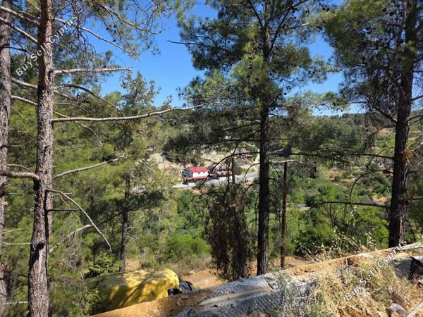 3 bedroom detached house for sale kyperounta limassol 7733579 image 10149085