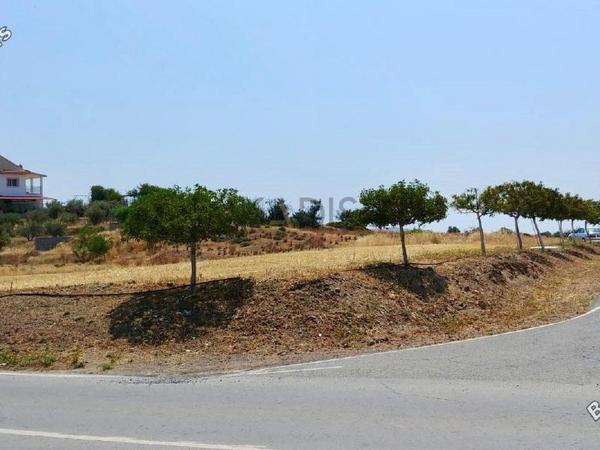 land for sale moni limassol 1582579 image 5883852