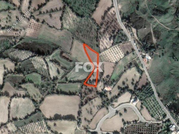 plot for sale lasa paphos 1159579 image 5526202