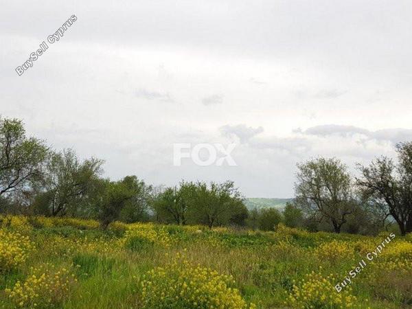 plot for sale lasa paphos 1159579 image 5526206