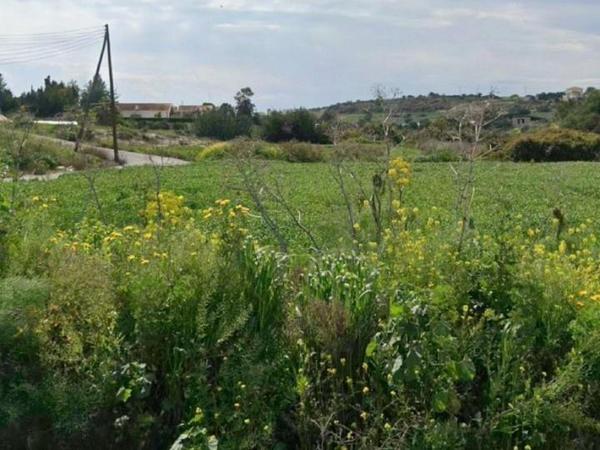 plot for sale maroni larnaca 7906579 image 16170265