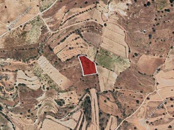 land for sale pachna limassol 8785679 image 16656272