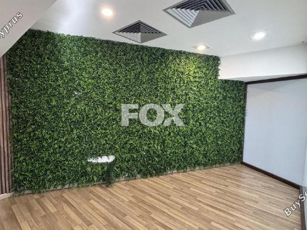 studio office for rent agia zoni limassol 1229679 image 17031665
