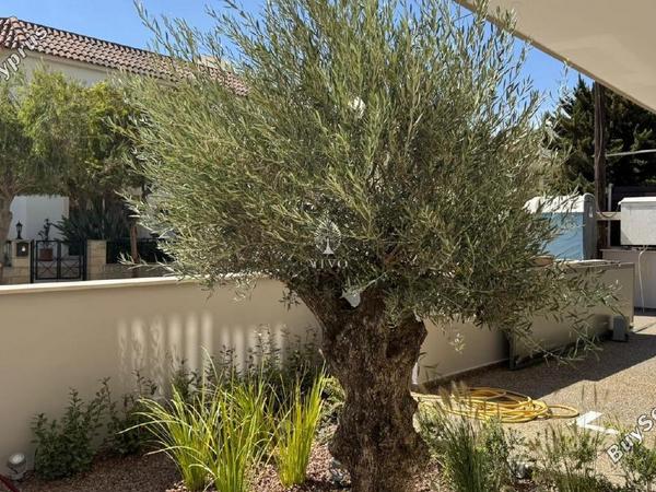 2 bedroom apartment for rent mesa gitonia limassol 7657779 image 14716136