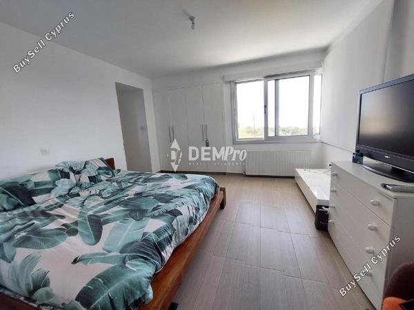 4 bedroom detached house for sale armou paphos 7812779 image 12697589