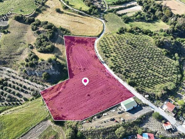 land for sale kannaviou paphos 8629779 image 15869886