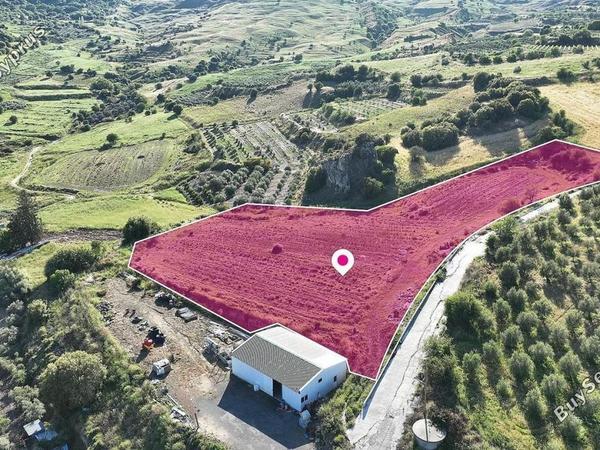 land for sale kannaviou paphos 8629779 image 15869888