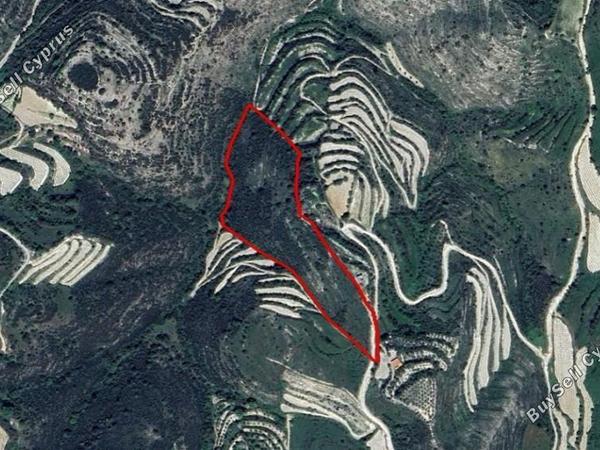 land for sale koili paphos 1612779 image 16248787