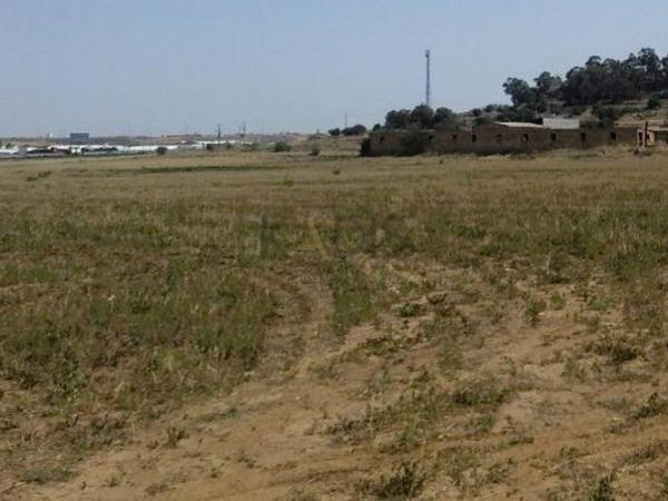 land for sale nisou nicosia 1329779 image 5836026