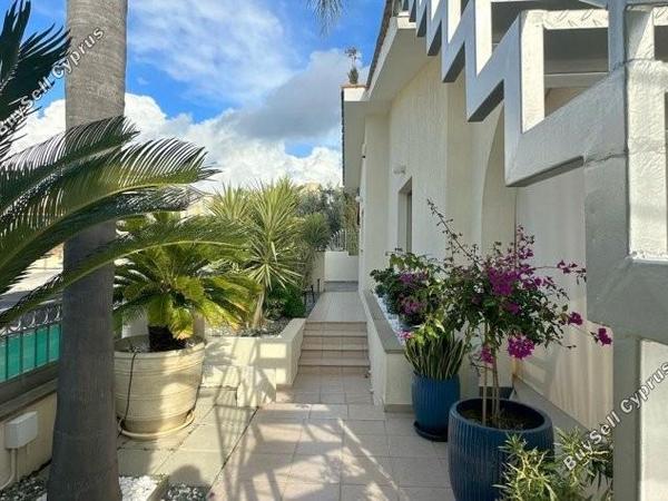3 bedroom bungalow for sale tala paphos 7733879 image 10152577