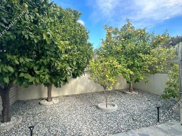 3 bedroom bungalow for sale tala paphos 7733879 image 10152580