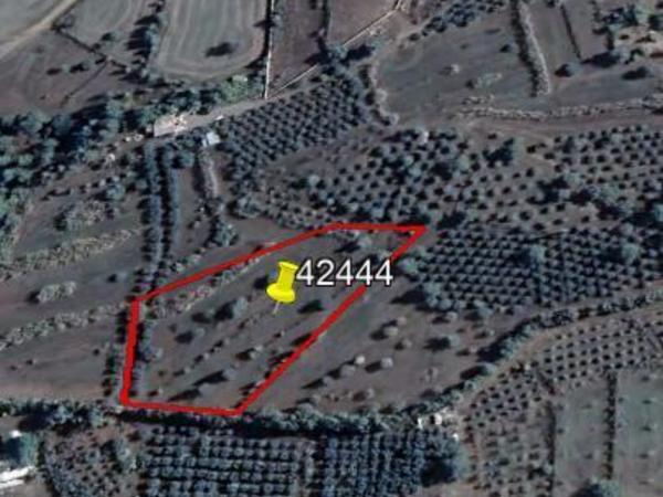 land for sale lythrodontas nicosia 1060879 image 16249701