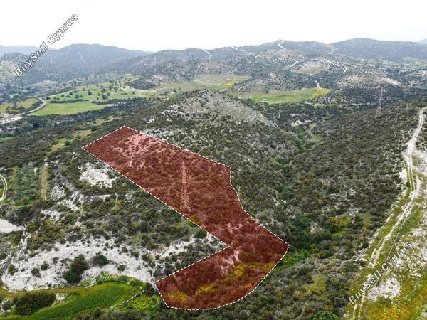 land for sale skarinou larnaca 945879 image 15601850