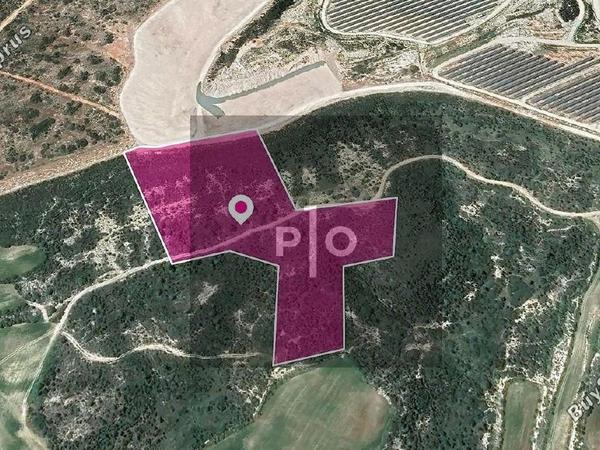 land for sale agios theodoros larnacas larnaca 8274979 image 15156662