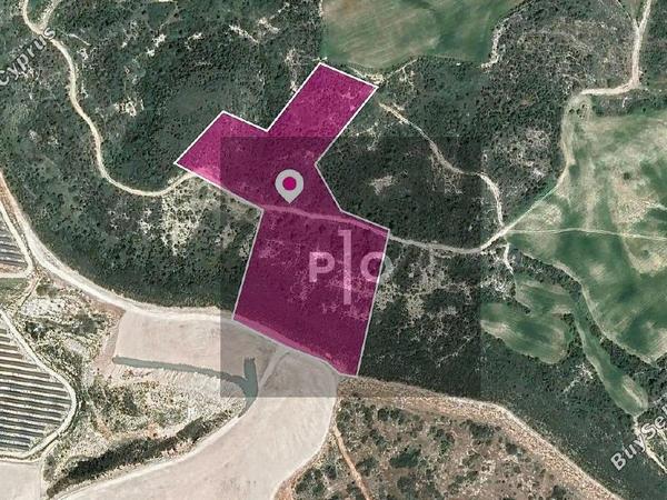 land for sale agios theodoros larnacas larnaca 8274979 image 15156663
