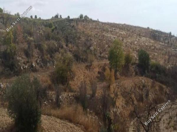 land for sale drimou paphos 8664979 image 17011095