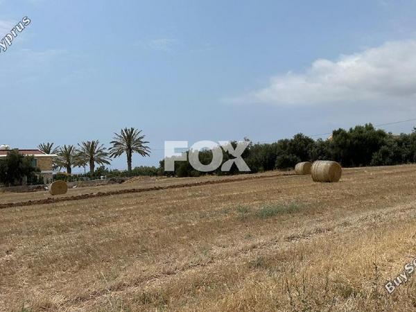 land for sale peyia paphos 1882979 image 10051250