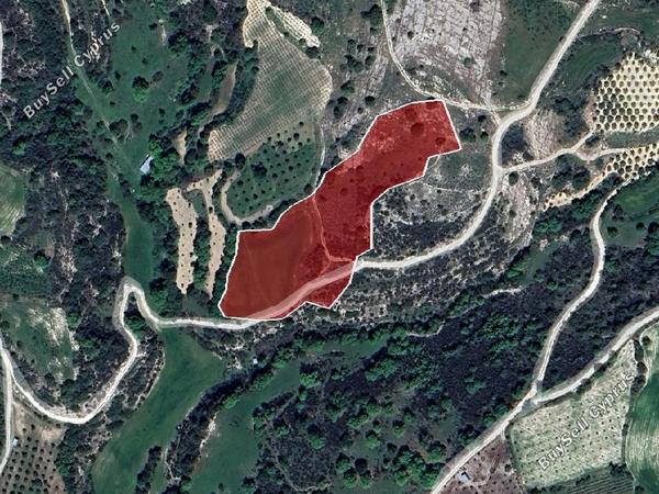 land for sale psathi paphos 1341979 image 15599431