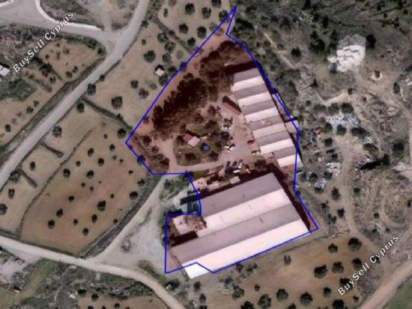 studio warehouse for sale agia varvara nicosias nicosia 1830979 image 6460808