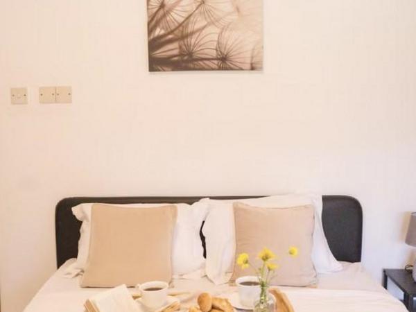 2 bedroom apartment for sale kato paphos paphos 8959089 image 17777934