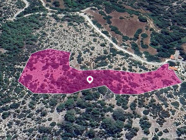 land for sale archimandrita paphos 8396089 image 14823612