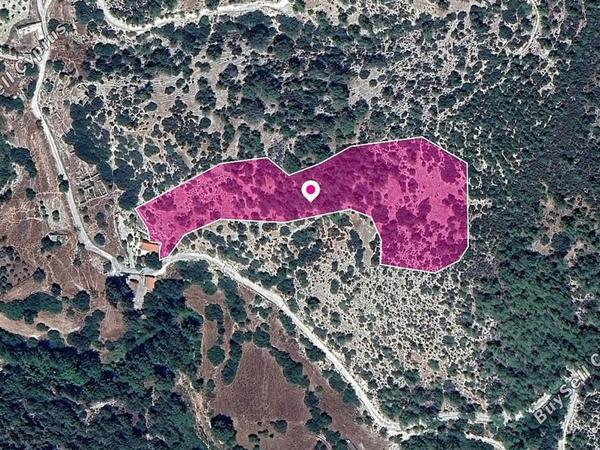 land for sale archimandrita paphos 8396089 image 14823613