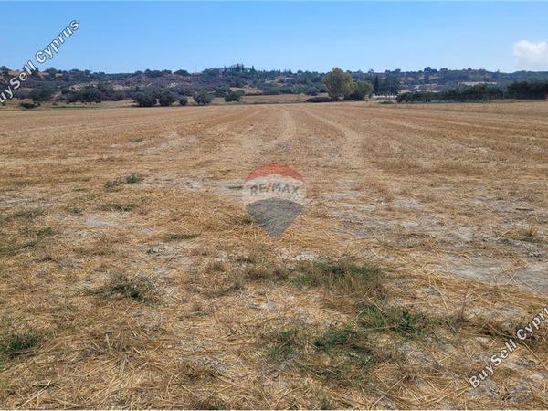 land for sale mazotos larnaca 1566089 image 14127381