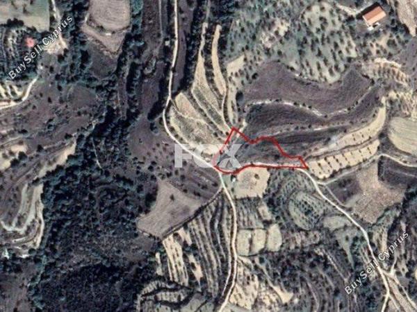 plot for sale kallepeia paphos 1159089 image 5517354