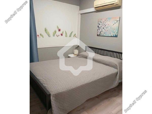 1 bedroom apartment for rent strovolos nicosia 8463189 image 16335587