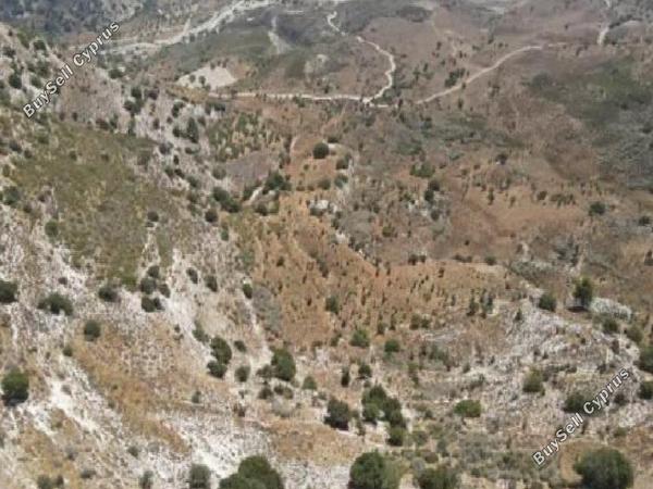 land for sale kedares paphos 8711189 image 17010919