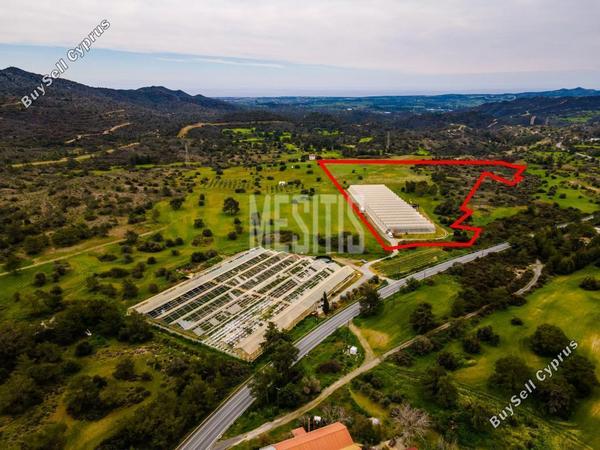 land for sale kornos larnaca 1162189 image 10490488