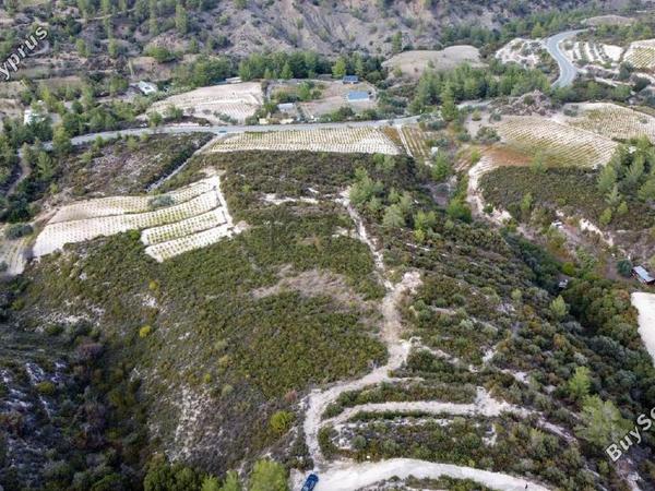 land for sale trimiklini limassol 1644189 image 14709864