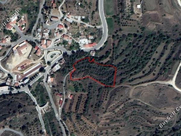 land for sale xyliatos nicosia 853189 image 2817756