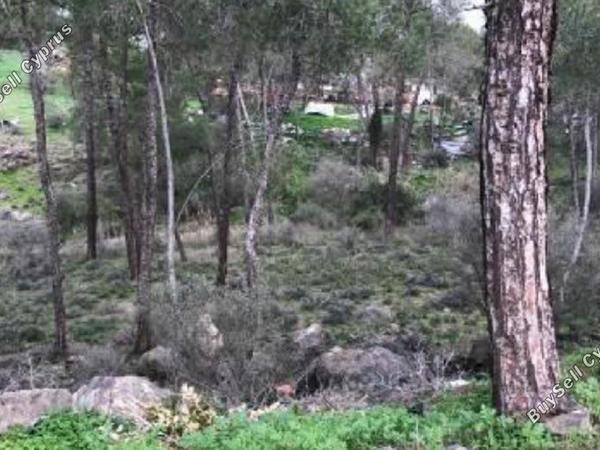 plot for sale psevdas larnaca 831189 image 4125603