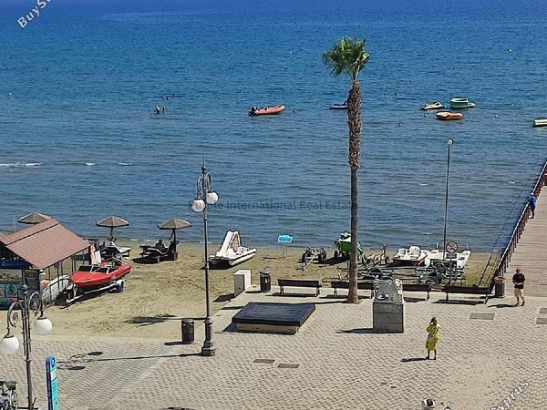 2 bedroom apartment for rent larnaca municipality larnaca 8765289 image 17234596