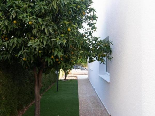 5 bedroom detached house for sale ekali limassol 8429289 image 15279977